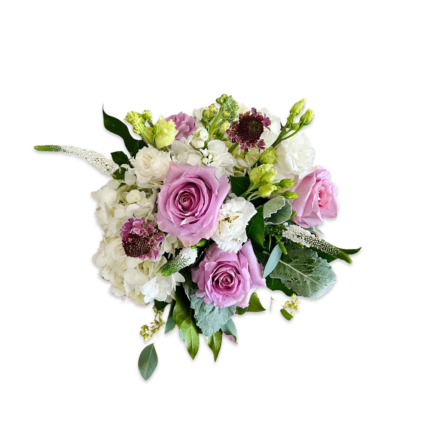 white and lavender flowers on a white background