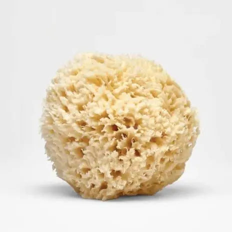 Natural Bath Sea Sponge ( Wool ) Nectar Republic