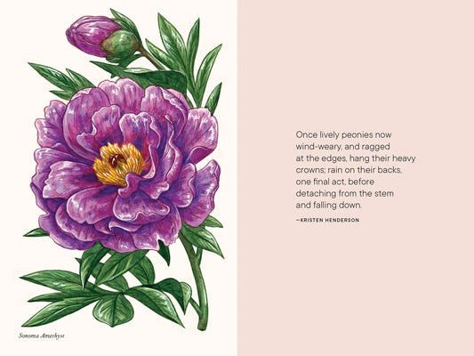 A Little Book of Flowers: Peonies Paige Tate & Co.
