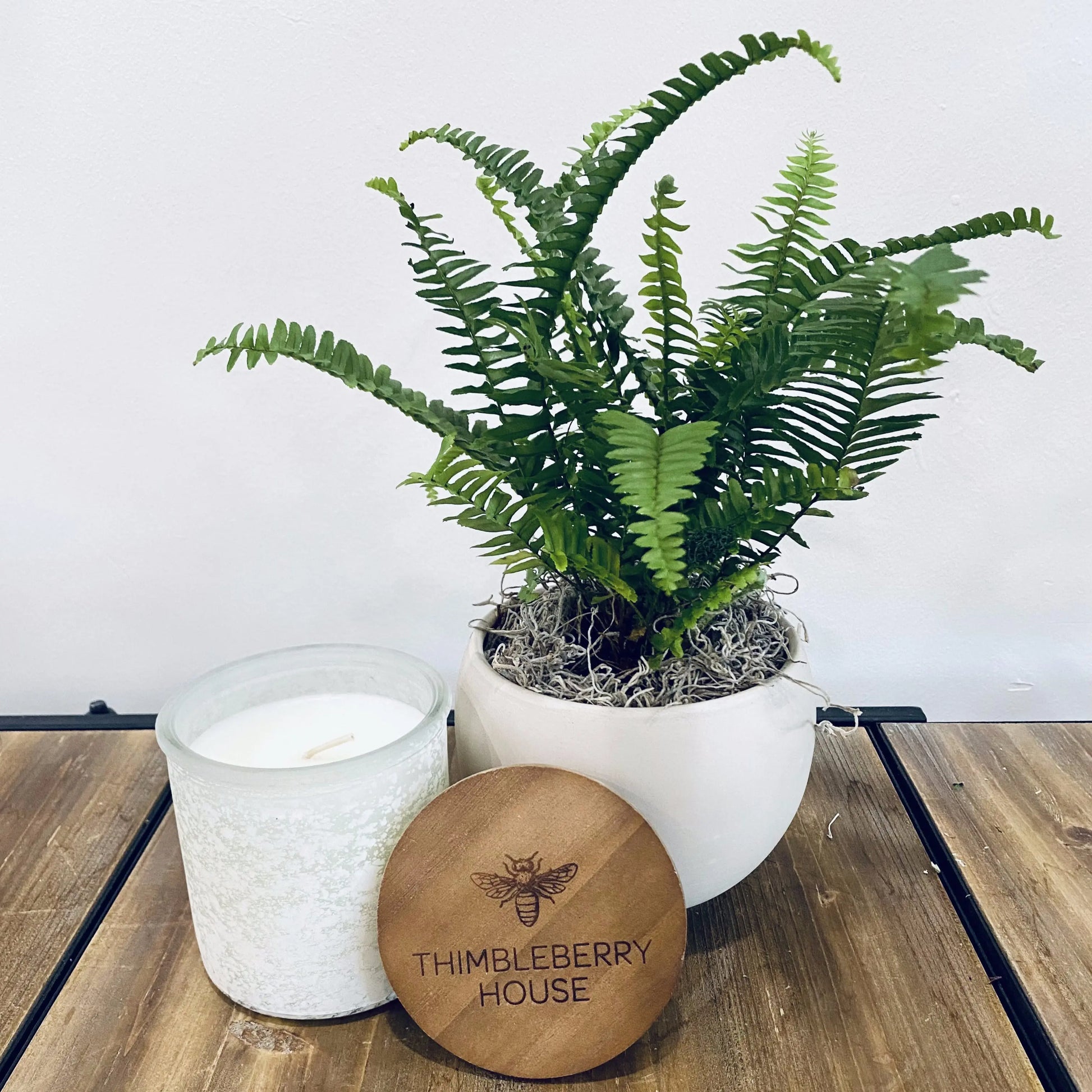 TH Signature Candle & Plant Gift Set Thimbleberry House