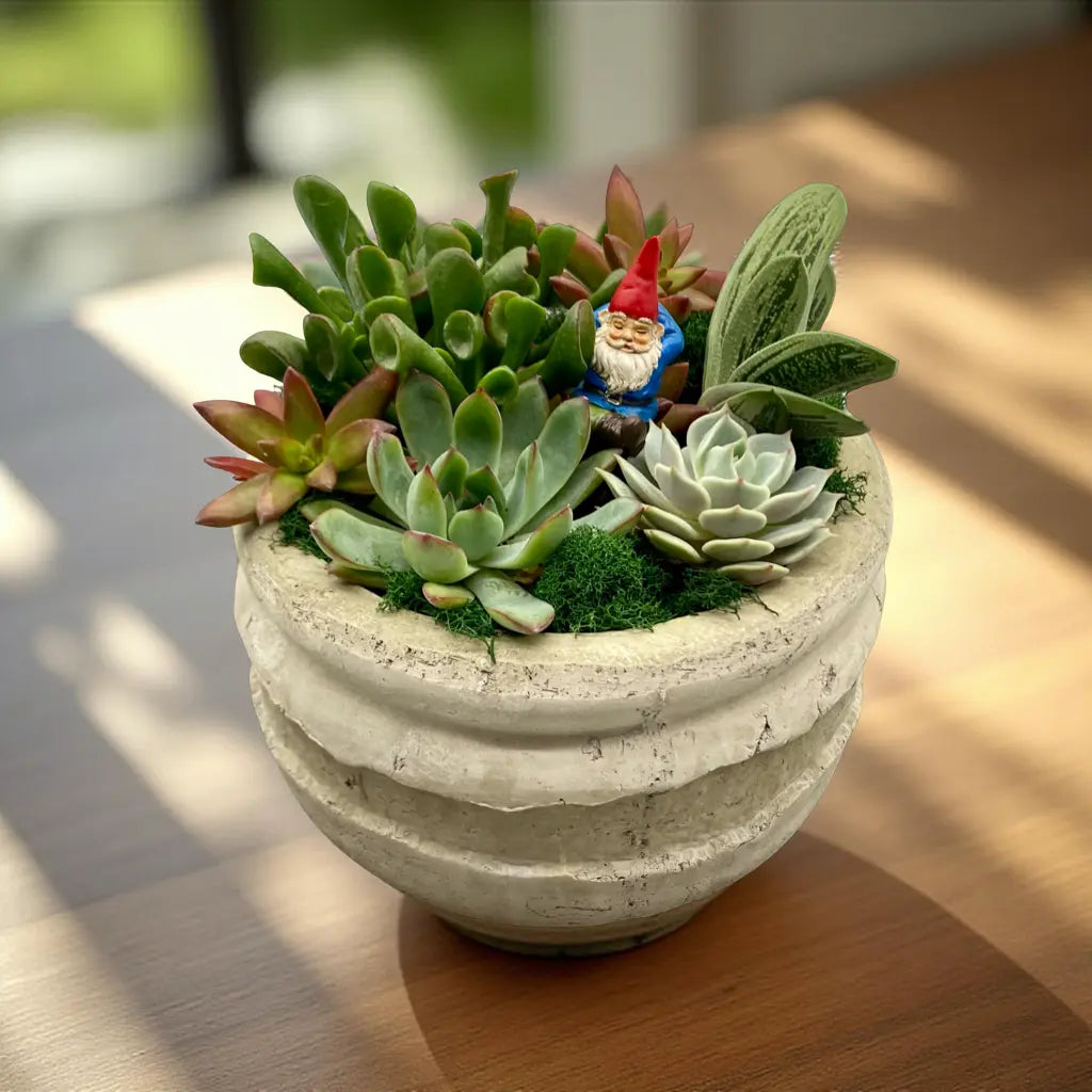 Plant of the Month Club | Indoor Plant Subscription Box Thimbleberry House