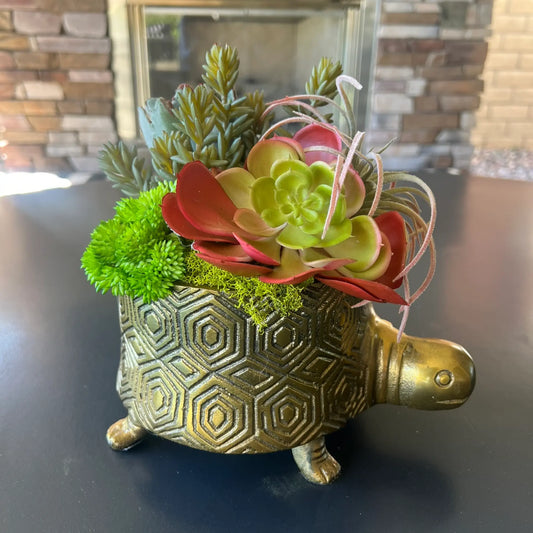 Tommie Turtle - Faux Succulent Arrangement Thimbleberry House