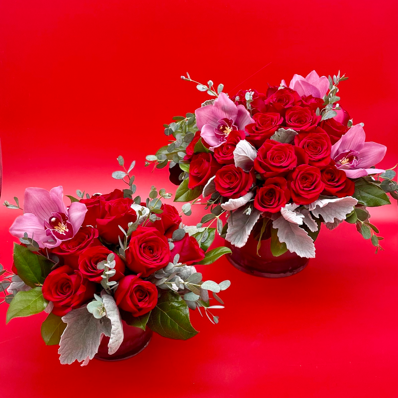 12 red rose arrangement and 24 red rose arrangement for valentine's day