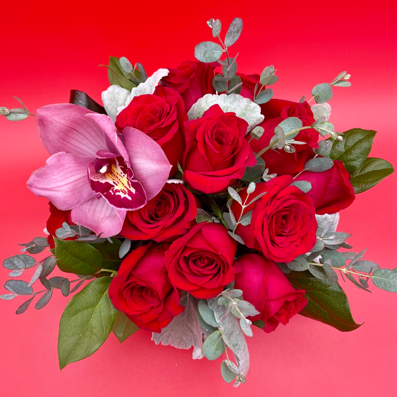 closeup of 12 red roses for valentine's day