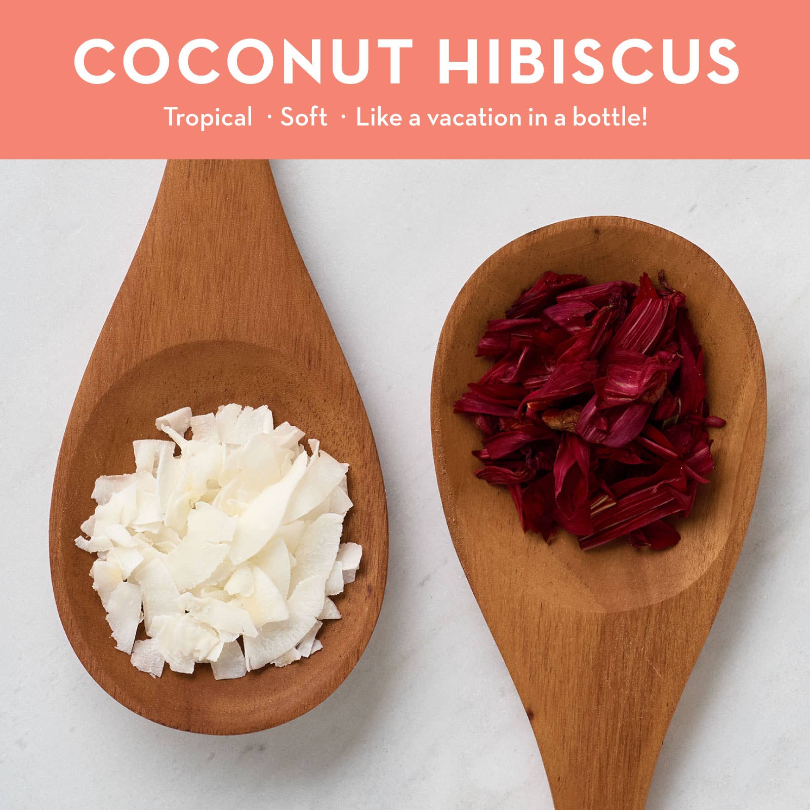 coconut hibiscus scent guide