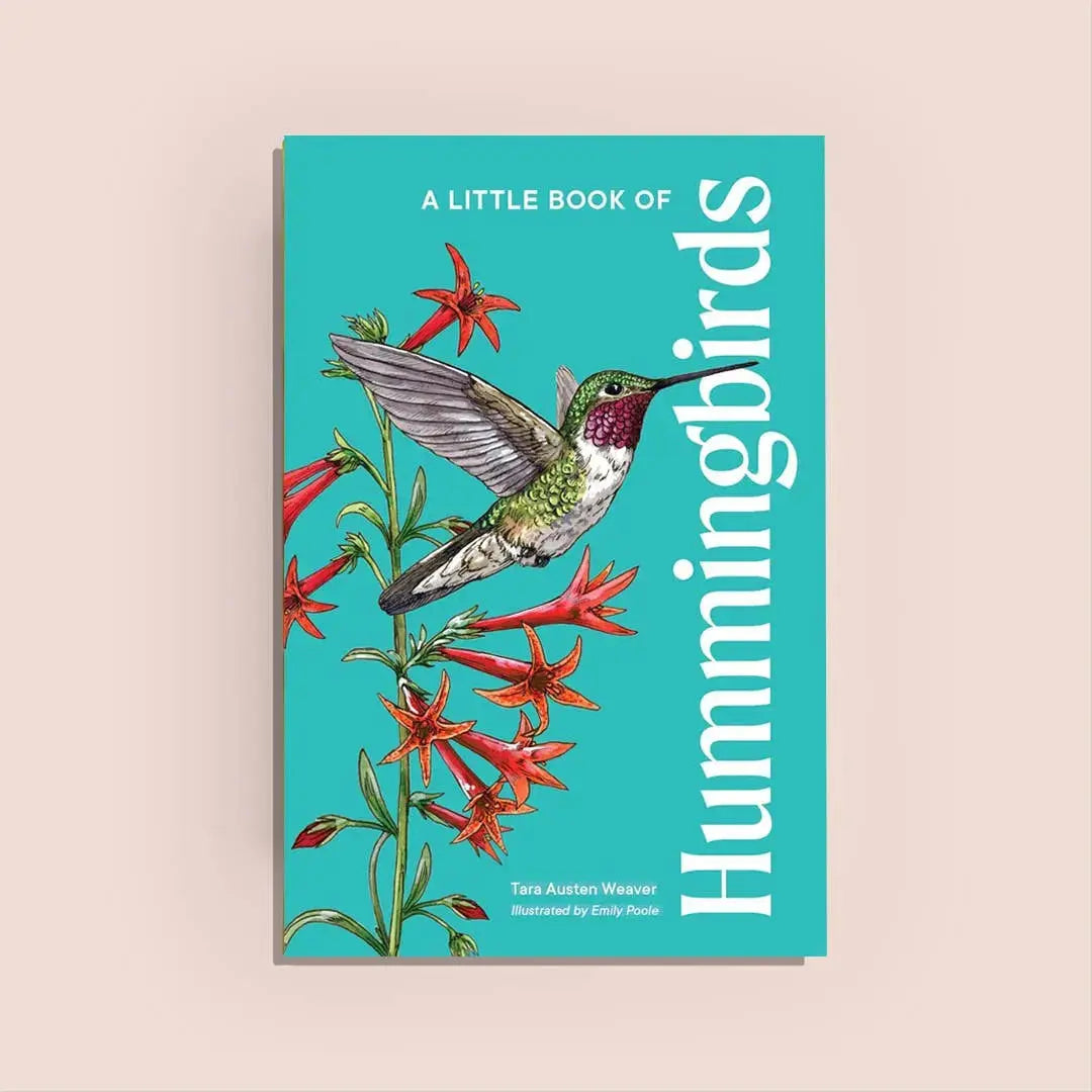 cover of a little book of hummingbirds
