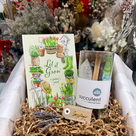 Gardening kit with 'Let it Grow' book and succulent terrarium kit in a decorative setting.