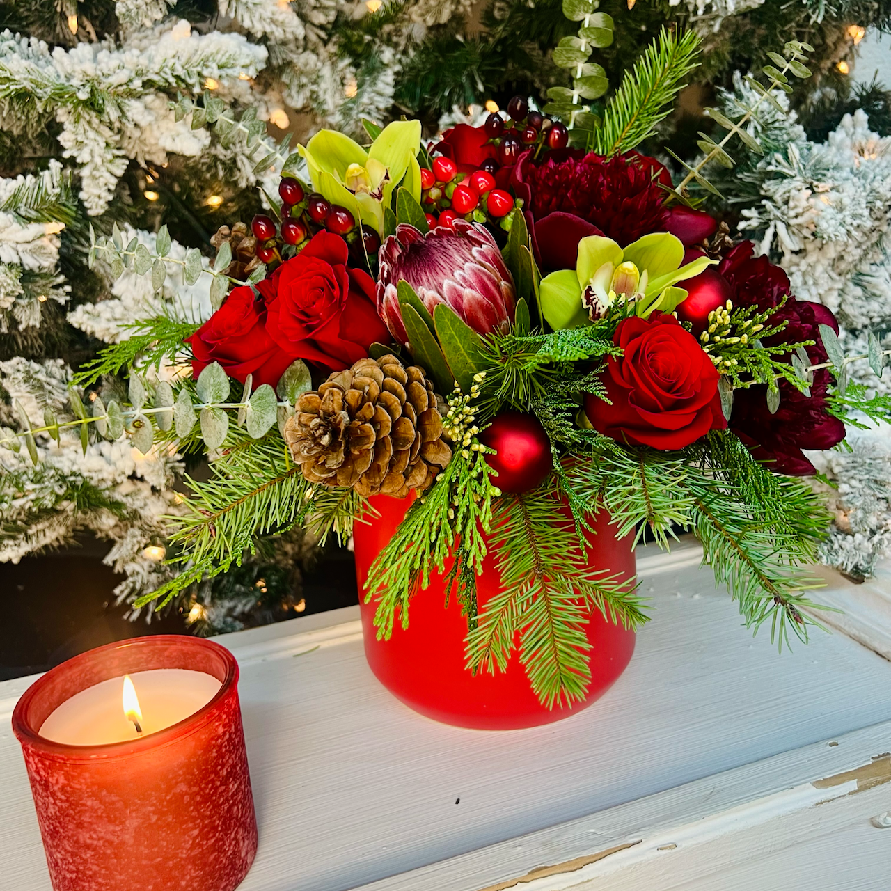 large red holiday flowers with a tree background