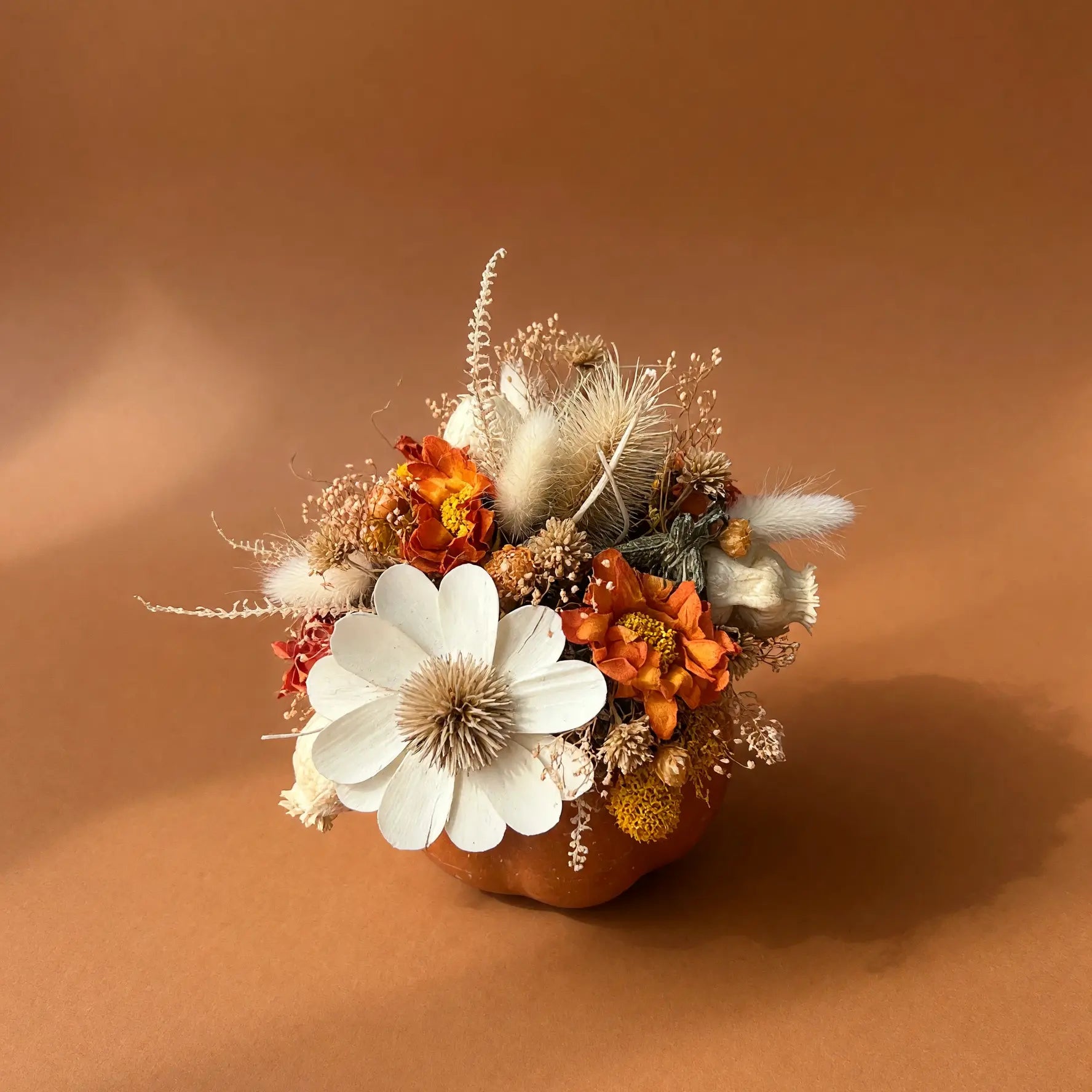 A small dried floral arrangement in an orange pumpkin, featuring a large white flower, orange blossoms, beige grasses, and feathers, set against a solid warm brown background.