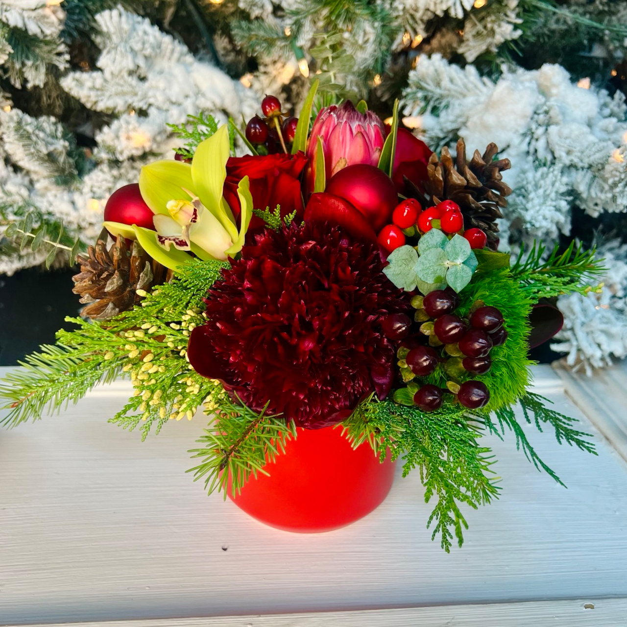 small red holiday flowers with tree background