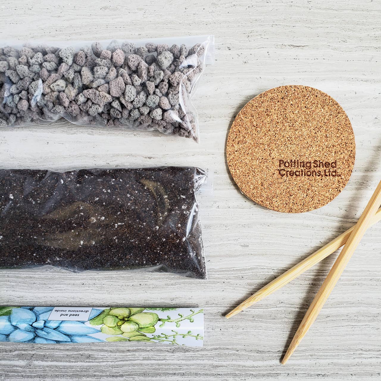 components of succulent terrarium