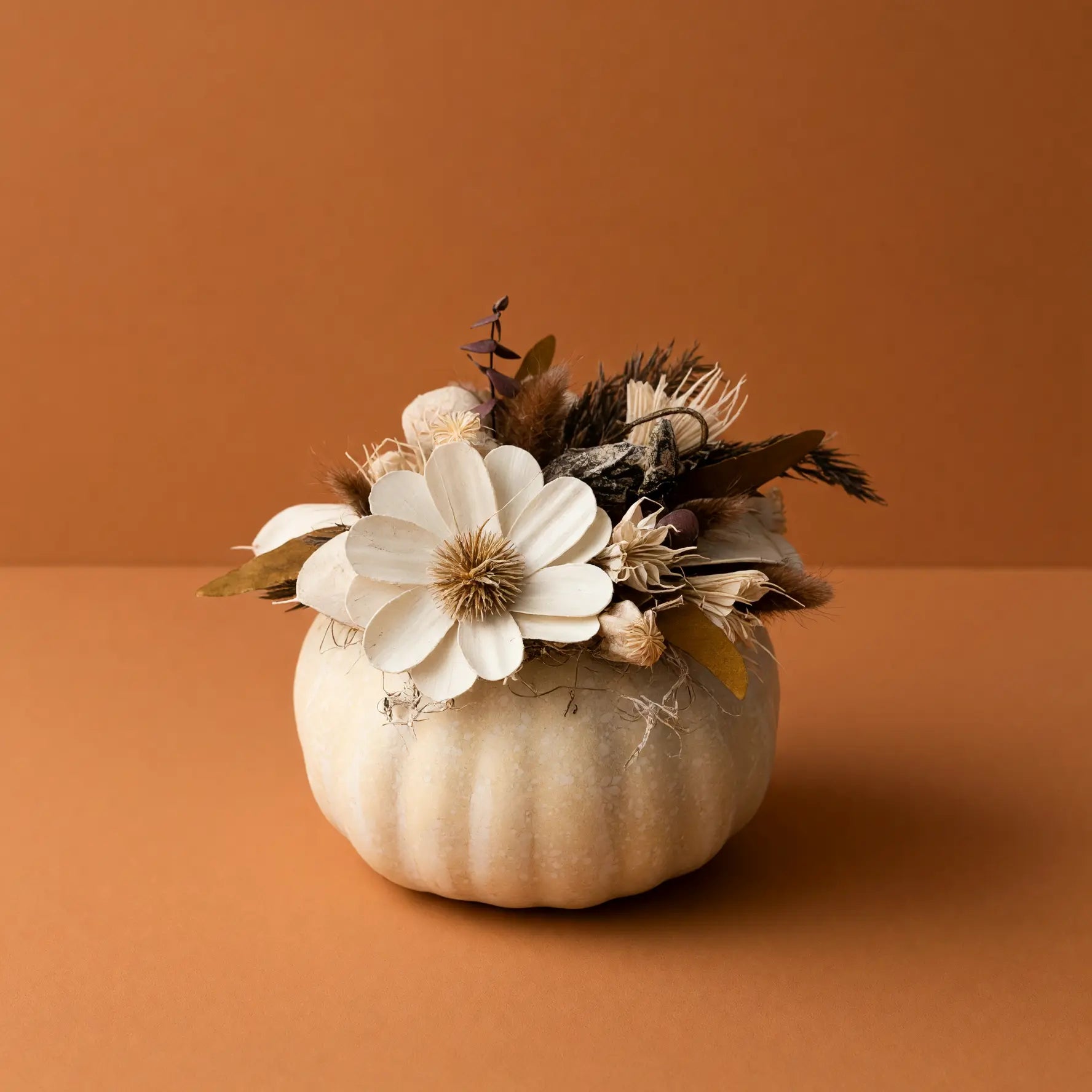A small white pumpkin with dried white flowers and brown grasses set against a solid warm terracotta background.