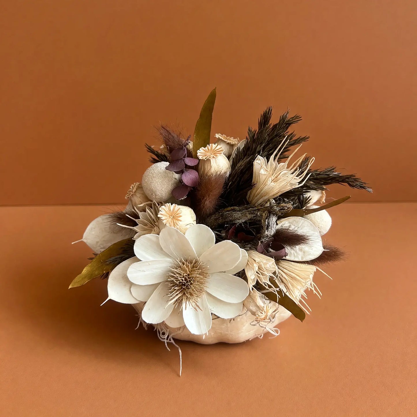 A dried floral arrangement in a small round white pumpkin, featuring white flowers, beige and brown botanicals, and dark feather accents, set against a solid terracotta background.