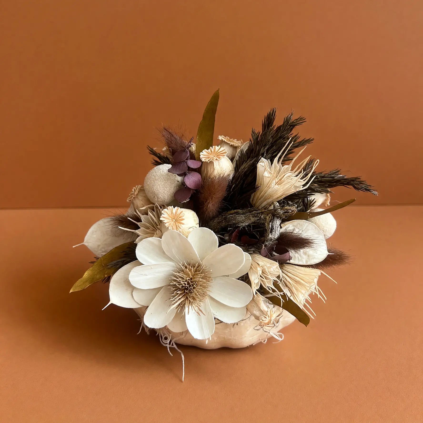A dried floral arrangement in a small round white pumpkin, featuring white flowers, beige and brown botanicals, and dark feather accents, set against a solid terracotta background.